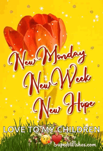 A Yellow Background With A Red Flower And The Words " New Monday New Week New Hope " On It GIF