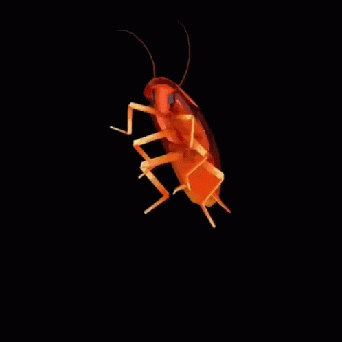A Yellow Cockroach Is Flying In The Air On A Black Background GIF