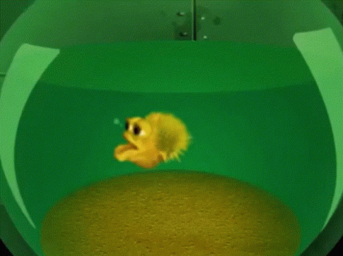 A Yellow Fish Is Swimming In A Green Bowl Of Water GIF