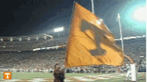 A Yellow Flag With The Letter T On It Is Flying In A Stadium GIF