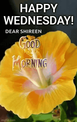 A Yellow Flower With The Words `` Happy Wednesday ! '' And `` Good Morning '' On It . GIF