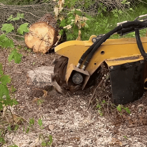 A Yellow Machine Is Cutting A Tree Stump In The Ground GIF