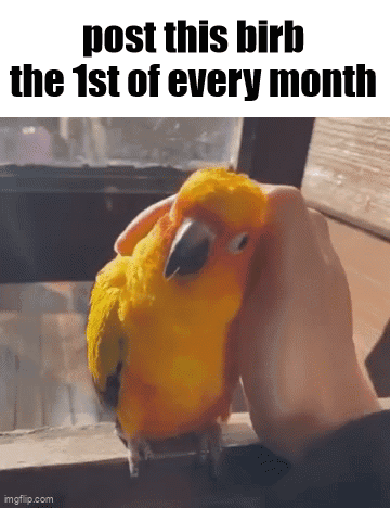 A Yellow Parrot Is Being Held By A Person And The Caption Says Post This Birb The 1St Of Every Month GIF