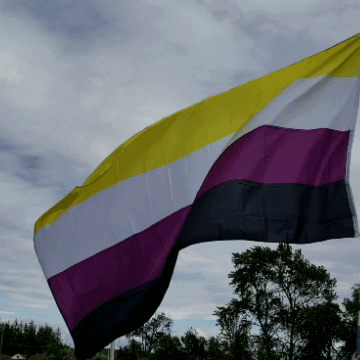 A Yellow Purple And Black Flag Flies In The Wind GIF