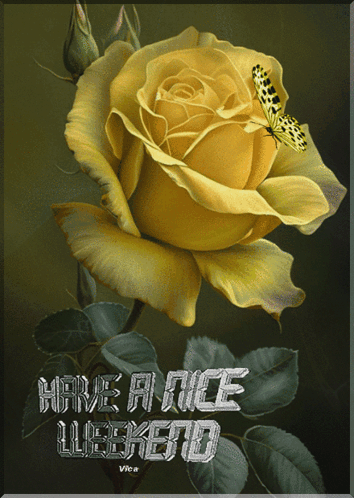 Yellow Rose With Butterfly And Weekend Wishes GIF