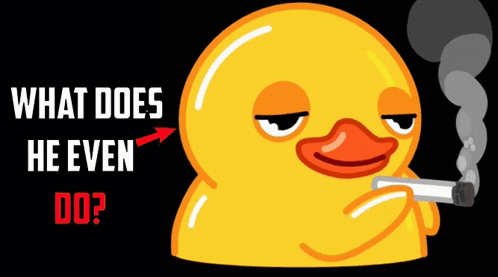 A Yellow Rubber Duck Smoking A Cigarette With The Words " What Does He Even Do " Above It GIF