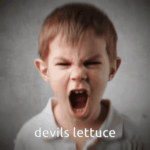 A Young Boy Is Screaming With The Words Devils Lettuce Written Below Him GIF
