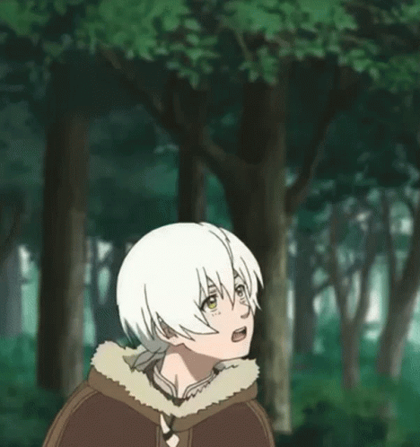 A Young Boy Is Standing In The Middle Of A Forest Looking Up At The Sky . GIF