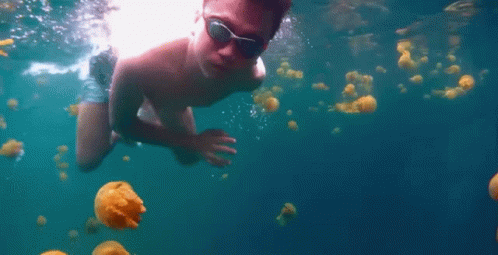 A Young Boy Is Swimming In The Ocean With Jellyfish . GIF