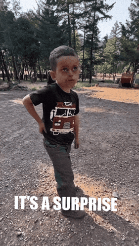 A Young Boy Wearing A Shirt That Says ' It 'S A Surprise ' Is Standing In The Dirt GIF
