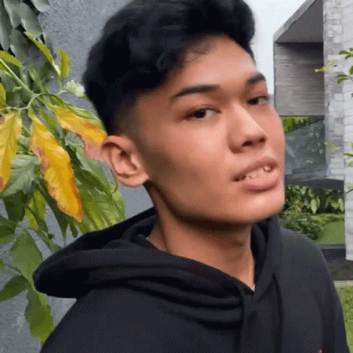 A Young Man In A Black Hoodie Is Standing In Front Of A Tree And Looking At The Camera . GIF