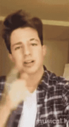 A Young Man In A Plaid Shirt Is Taking A Selfie With His Hand On His Chin . GIF