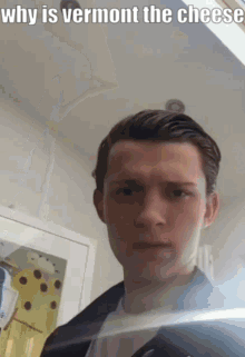 A Young Man Is Taking A Selfie In Front Of A Mirror With The Words `` Why Is Vermont The Cheese '' . GIF