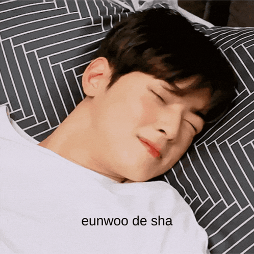 A Young Man Laying On A Striped Pillow With The Words Eunwoo De Sha Above Him GIF