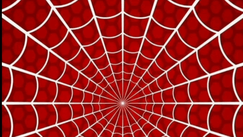 A Young Man Stands In Front Of A Spider Web GIF