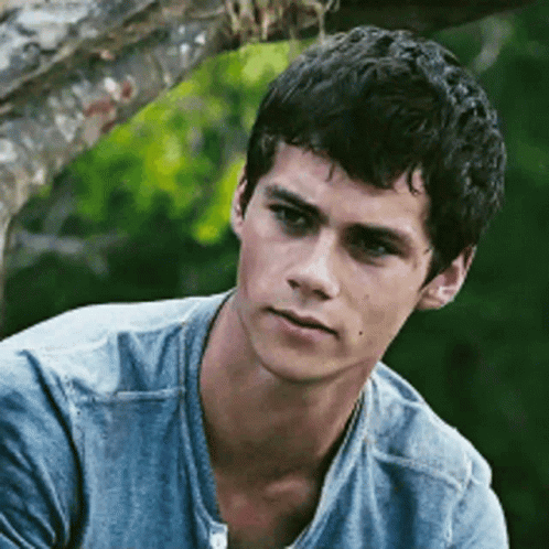 A Young Man Wearing A Blue Shirt Is Sitting Under A Tree . GIF