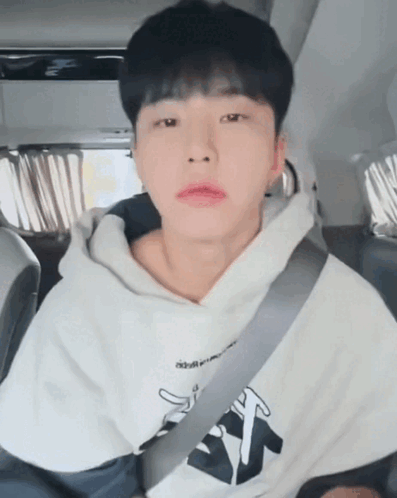 A Young Man Wearing A Hoodie And A Seat Belt Looks To The Side GIF