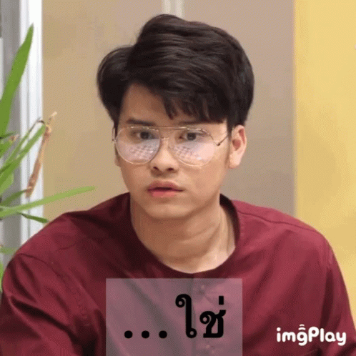 A Young Man Wearing Glasses And A Maroon Shirt Is Displayed On A Screen With The Words Imgplay GIF
