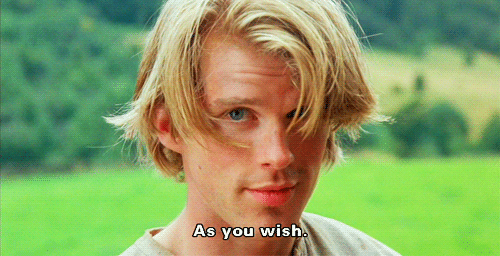 A Young Man With Blonde Hair Says As You Wish GIF