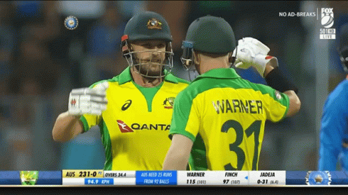 Aaron Finch David Warner Hug GIF