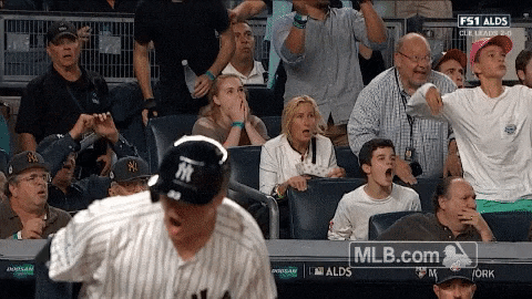 Aaron Judge Yankees Win GIF