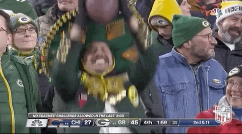 Aaron Rodgers Relax Fan Jump GIF