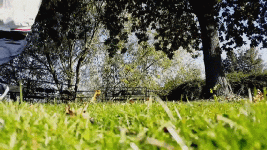 Aasif Falling Down On The Ground GIF