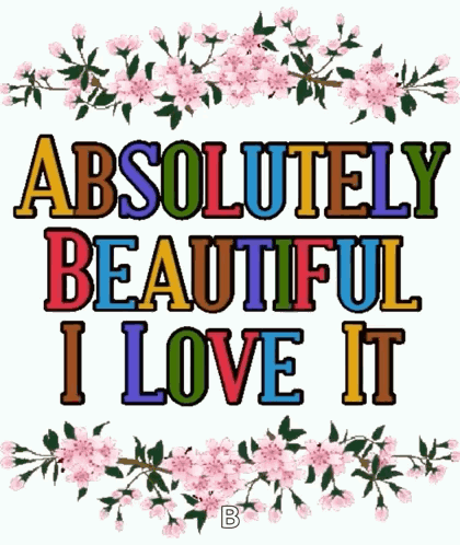 Absolutely Beautiful I Love It Sign
