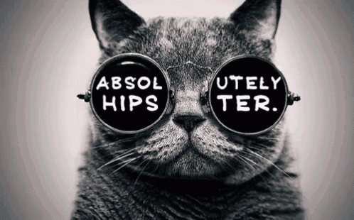 Absolutely Hipster Gif GIF