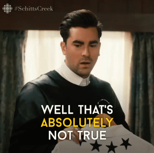 Absolutely Not True GIF