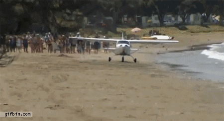 Accident Beach Plane Crash GIF