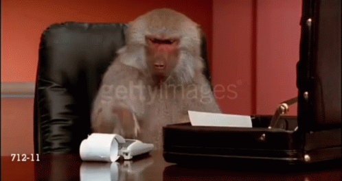 Accountant Monkey Solving In Calculator GIF