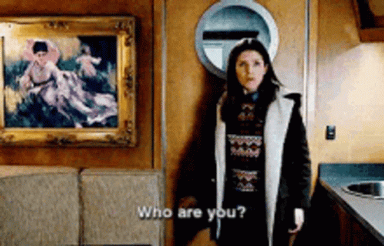 Accountant Who Are You? GIF
