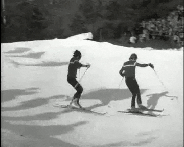 Accurate Movement Ski GIF