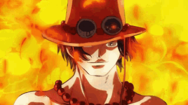Ace Ace One Piece Gif GIF