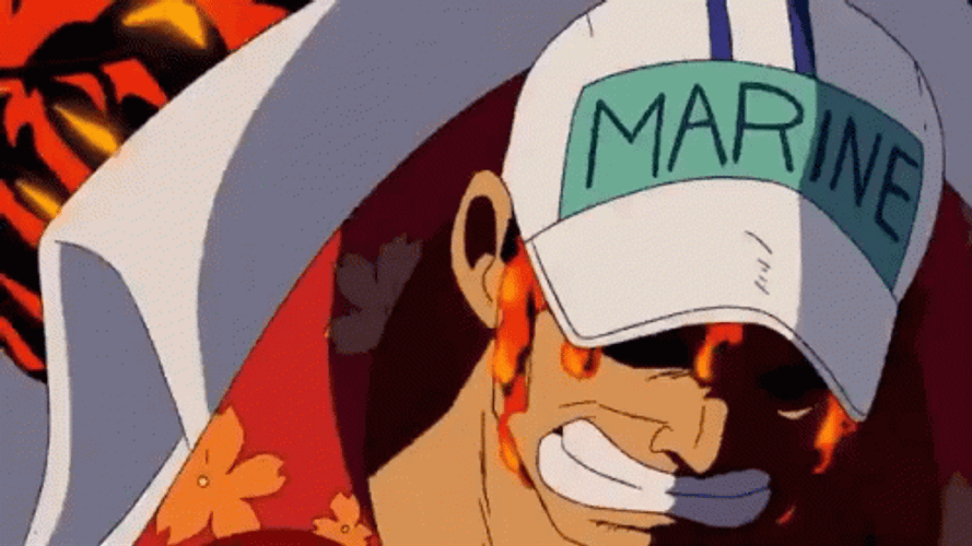 Ace Akainu One Piece Fight Luffy GIF