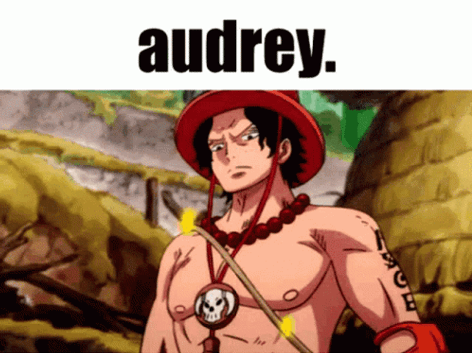 Ace Audrey One Piece Meme GIF