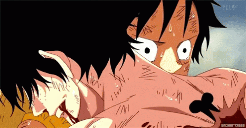 Ace Hugging Luffy GIF