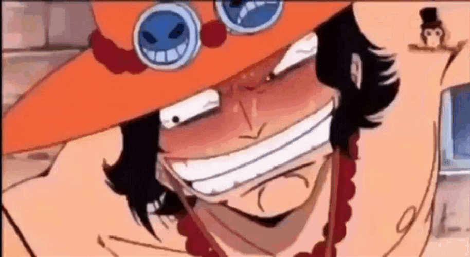 Ace Luffy One Piece Fist Fight GIF