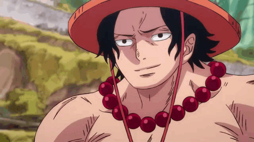 Ace One Piece Tama Worried GIF