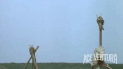 Ace Ventura Funny Hair Style GIF