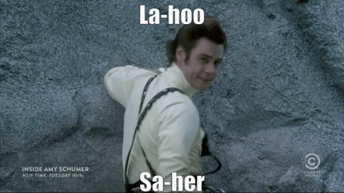 Ace Ventura Loser Insult GIF