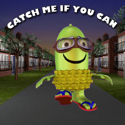 Acorn Catch Me If You Can GIF
