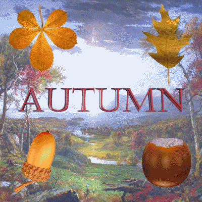 Acorn Season Autumn Came GIF