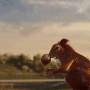 Acorn Slipped Squirrel Catching It GIF