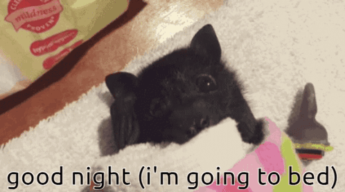 Acoustic Welcome Woman GIF