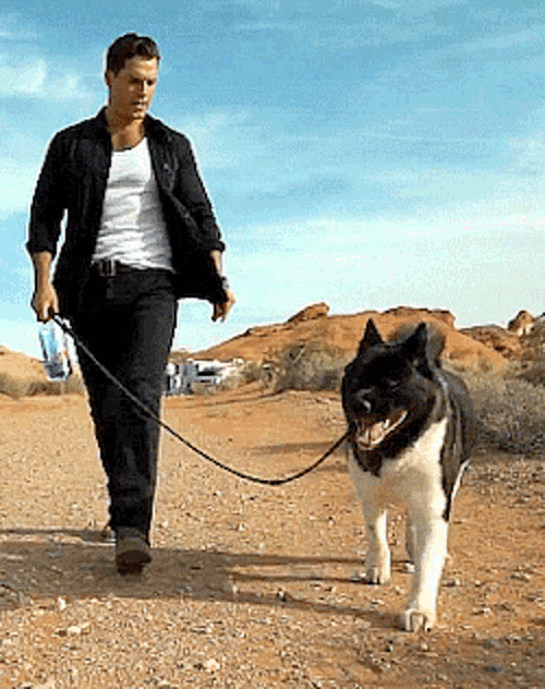 Actor Henry Cavill Walking His Dog Kal GIF