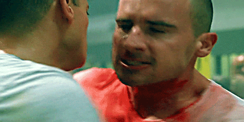 Actors Prison Break GIF