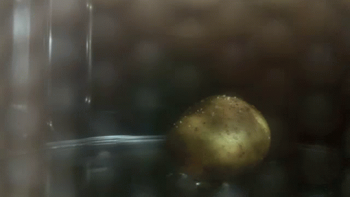 Actual Baking A Hot Potato GIF