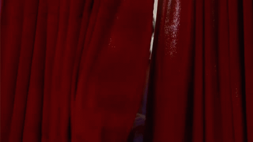 Adam Brody American Celebrity GIF